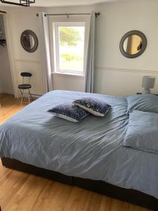 a bed with two pillows on it in a bedroom at maison chez René in Saint-Malachie