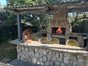 a dog sitting in front of a stone fireplace at Perdekuil in Stilbaai-Wes