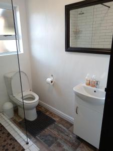 a bathroom with a toilet and a sink and a mirror at Perdekuil in Stilbaai-Wes +4 photos