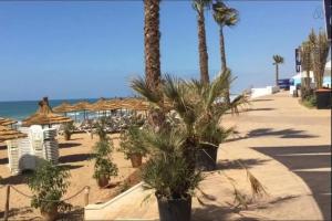 un complejo con palmeras, sillas y el océano en Plage Des Nations Apartment, en Sidi Bouqnadel