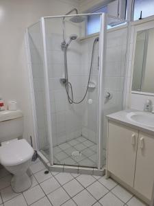 a bathroom with a shower with a toilet and a sink at Opuke Studio Methven in Methven +26 photos