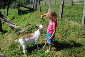 a little girl feeding a goat in a field at Ferienwohnung Lahnerhof in Arriach