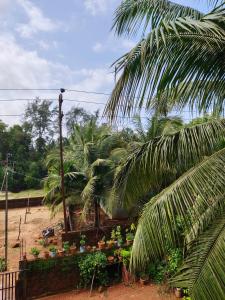 a garden with palm trees and a table with plants at Alpha Homestay in Kāsarkod