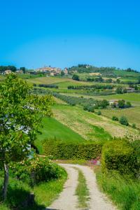 a dirt road in the middle of a green field at Podere Sorrentino in Offida