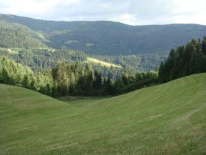 a green field with trees and mountains in the background at Ferienwohnung Lahnerhof in Arriach