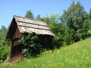 an old barn sitting on a hill in a field at Ferienwohnung Lahnerhof in Arriach