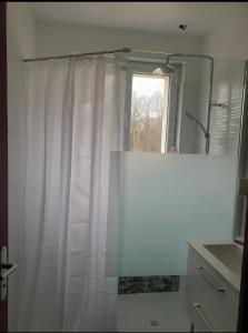 a bathroom with a white shower curtain and a mirror at La Tuilerie Lixy Brannay in Brannay