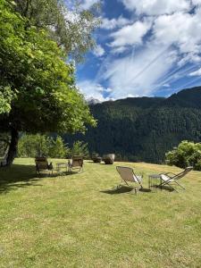 a group of chairs sitting on top of a grass field at Locanda dal Giulio al Fratè B&B in Madonna di Campiglio