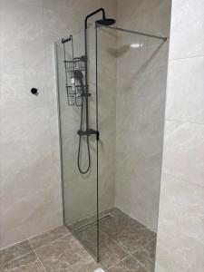 a shower with a glass door in a bathroom at Maginja house in Milojci +11 photos