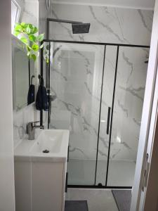 a bathroom with a shower and a white sink at The nest in Malmedy +2 photos