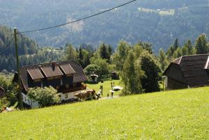 a house on a hill with cows on a field at Ferienwohnung Lahnerhof in Arriach