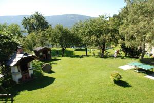 a backyard with a dog house and a picnic table at Ferienwohnung Lahnerhof in Arriach