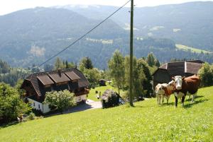 two cows standing on a hill in a field at Ferienwohnung Lahnerhof in Arriach