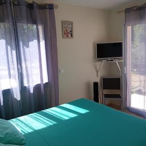 a bedroom with a green bed and a television at Chez Nathalie in Le Luc