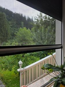 a window with a view of a fence and trees at Apartment Jurček with jacuzzi & sauna in Luče
