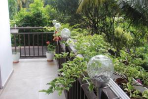 a balcony with a bunch of plants and lights at Kavis Home in Ekalakurunduwatta