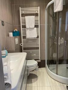 a bathroom with a toilet and a sink and a shower at Palais Rouaze in Cannes