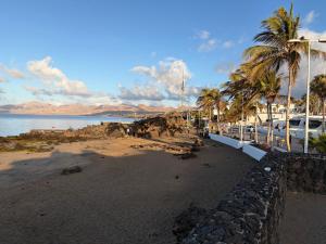 a beach with palm trees and cars parked next to the water at Casa TIN TIN Lanzarote in Tías