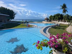 a swimming pool with a view of the ocean at Banana Beach Club in Moalboal