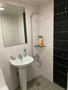 a bathroom with a sink and a shower at 신화펜션 in Koryŏng