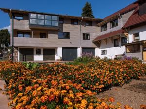 a field of flowers in front of a building at Saunaloft Schwarzwald in Gemeinde Aichhalden