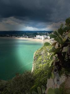 a view of a beach and the ocean at Maja cuore blu in Vieste