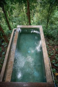 a pool of water in the middle of a forest at Ant House Sidemen in Silebeng