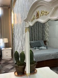 a bedroom with a canopy bed with cactus at Дача в городе in Bishkek