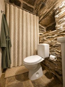 a bathroom with a toilet and a shower curtain at Nostos Kea in Káto Meriá