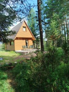 a cabin with a table and chairs in the woods at Durmitor Forest Retreat in Žabljak