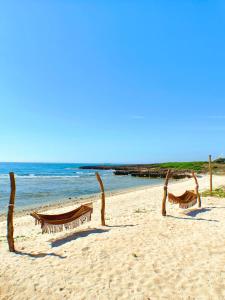 a beach with two chairs sitting on the sand at Hon Do Eco Retreat in Mỹ Thanh