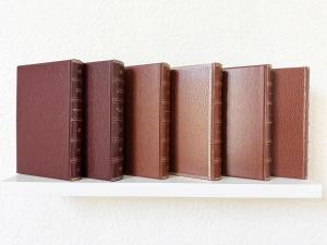 a row of books sitting on a shelf at Studio plein centre et parking in Châtel-Guyon