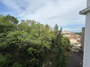 a view of a city with trees and buildings at Studio plein centre et parking in Châtel-Guyon