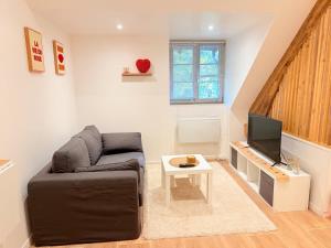 a living room with a couch and a tv at Jacuzzi privé - Netflix - Wi-Fi - parking gratuit in Châtel-Guyon