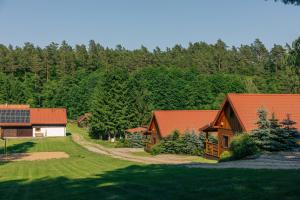 an aerial view of a house with a yard at Lisie Bagno - Domki w Lesie Mazury in Miłomłyn