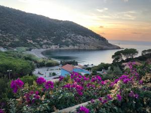 a view of a beach with purple flowers at Cala Rossa 35 Wit Pool - Elba Affitti in Nisporto