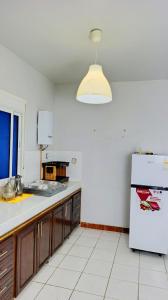 a kitchen with a white refrigerator and a window at Comfort Apartment in Einzorene