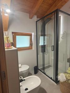 a bathroom with a toilet and a glass shower at Mondo D'Oro in Macugnaga