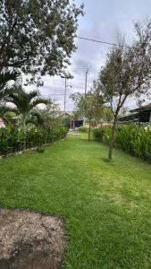 a yard with green grass and a tree in it at Cendana Guesthouse Labuan Bajo2 in Labuan Bajo +10 photos