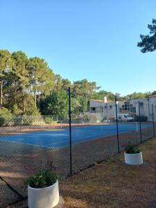 a tennis court with two potted plants on it at Domaine jard mer in Jard-sur-Mer