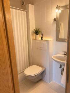 a white bathroom with a toilet and a sink at Manna Haus in Gelnhausen