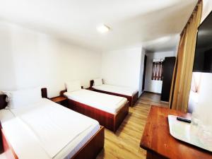 a hotel room with two beds and a desk at Pensiune Iguana in Tulcea