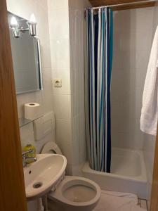 a bathroom with a toilet and a sink and a shower at Manna Haus in Gelnhausen