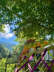 a house with a purple fence and trees at Mtiskari cottage in Utsera in Utsera +28 photos