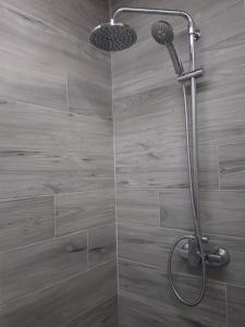 a shower with a shower head in a bathroom at katina 26 in Pitsidia