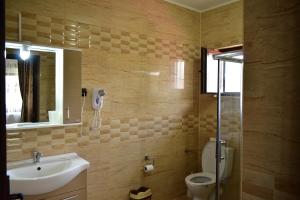 a bathroom with a sink and a toilet and a mirror at Pensiunea Casa Nușa in Baia de Fier +32 photos