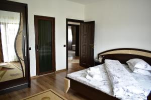 a bedroom with a bed and a mirror at Pensiunea Casa Nușa in Baia de Fier