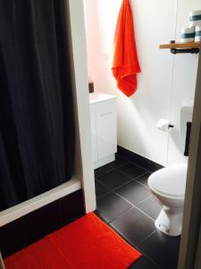 a bathroom with a white toilet and a red rug at Cottage on Cork - Muddy Cottage in Winton