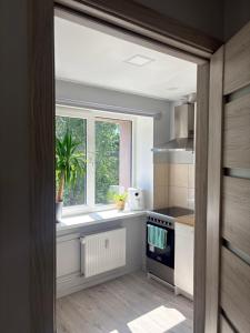 a kitchen with a sink and a window at Ziemeļblāzma in Riga