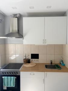 a kitchen with white cabinets and a sink at Ziemeļblāzma in Riga +4 photos